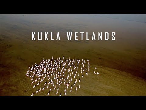 Kukla Wetlands [Official Trailer] - 2017