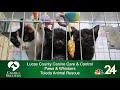 Clear The Shelters - Sun, Aug, 19th 1pm-3pm