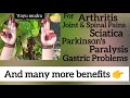 Vayu mudra for arthritis joint  spinal pain parkinsons paralysis sciatica gastric problems