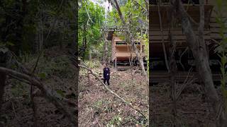 Download Lagu PONDOK TENGAH HUTAN MP3