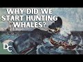 Unearthing Antarctica&#39;s Brutal Whaling Past | Whale Hunters: An Untold History | Part 1 | DC