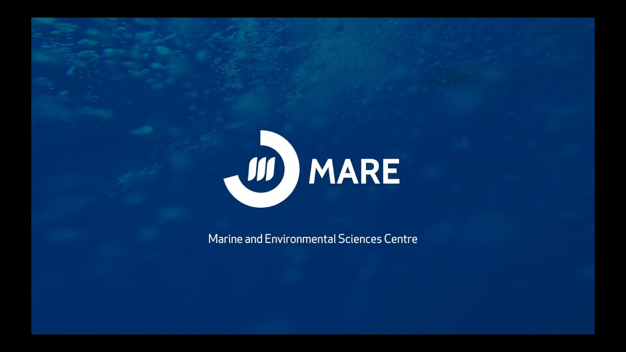 MARE 2019 EN