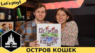 Играем в Остров Кошек! Летсплей одной из лучших семейных игр.