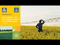 How does crop nutrition influence oilseed establishment