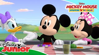  Cursa De Ziua Recunoștinței Mickey Mouse Aventuri Încurcate Disney Junior România