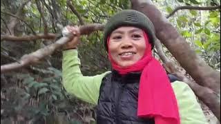 💞BIANGLALA💞 Lagu MEL SHANDY .#SAHABATMBOLANGHKNG #PAKLAPTSAI/PAKLAPBEACH