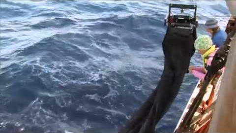 MOCNESS: An Adventure in Practical Oceanography