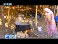 Dengê Botan - Sêrt - Mişara Botan