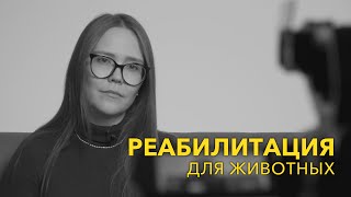 Реабилитация для животных