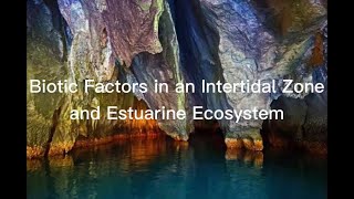 Biotic Factors in an Intertidal Zone and Estuarine Ecosystem