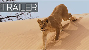 Planet Earth II Continues: Official Trailer