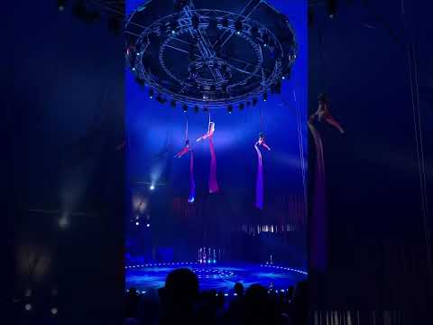 Fontana Water Circus Viral Jordan Fontana Watercircus Circus Amman Fyp 