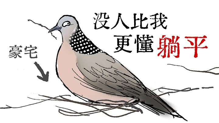 【珠颈斑鸠】躺平之神，密恐噩梦。超酷的鸟！ - 天天要闻