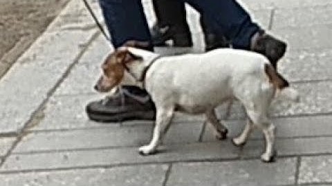 Jpcsim #2 (windows Vista)