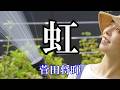 虹 / 菅田将暉 (歌詞入り)