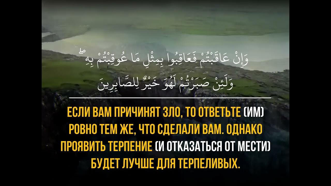 Сура ан нахль. Сура пчелы. Аят 128. Транскрипция Суры АН-Нахль пчёлы. Сура пчелы текст.