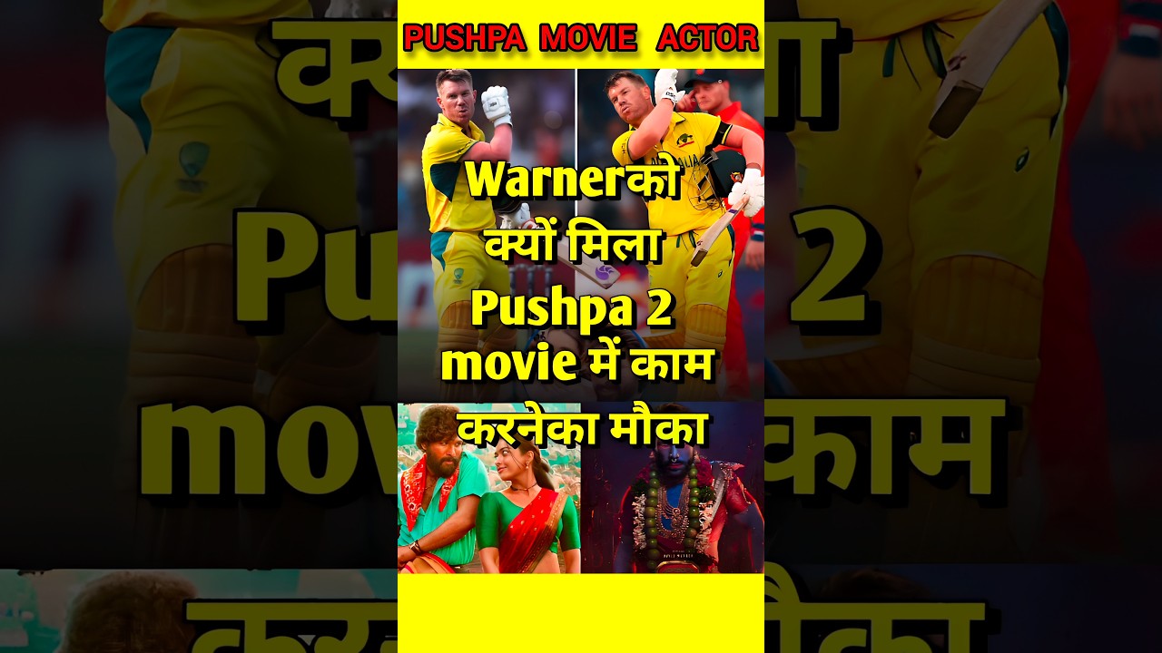 Warner ko Mila Pushpa movie me kaam karne ka mauka 