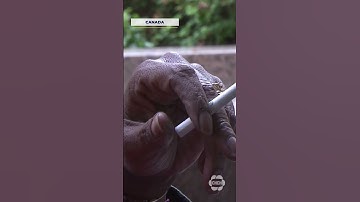 Warning labels on every cigarette in Canada takes effect Tuesday #shorts