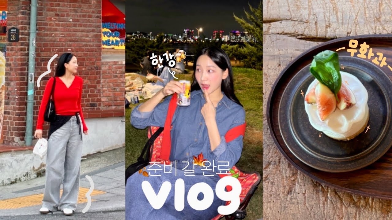 vlog. 가을양..어서와요🍂  한강 치킨맛집 아르켜줄게 ~ | 서촌투어 | 출퇴근 일상 | 혼자 첫 해외여행 🛫