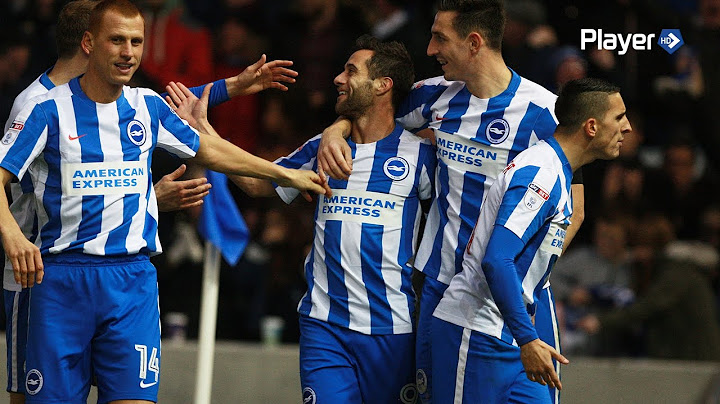 BRIGHTON & HOVE ALBION 2 FULHAM 1