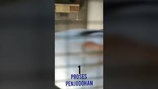 Download Lagu Menyilangkan jalak kebo dan jalak putih untuk cetak hybrid MP3