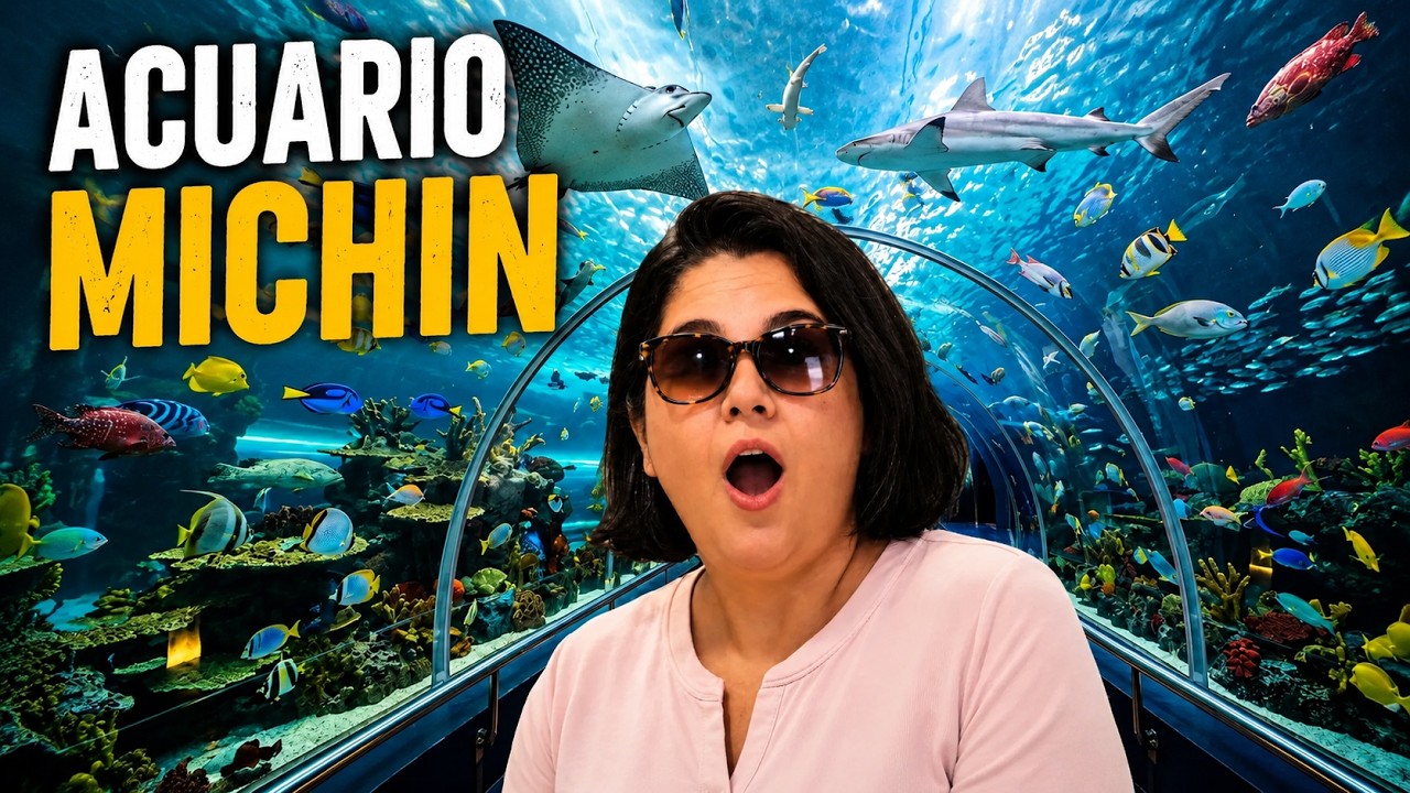 ACUARIO MICHIN CDMX | COSTOS + GUÍA COMPLETA | EVA LAURA - YouTube