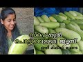 പൊട്ടുവെള്ളരി ജ്യൂസ് | Special Pottu Vellari juice |‌ Kakkarikka - Pazha Vellari Juice