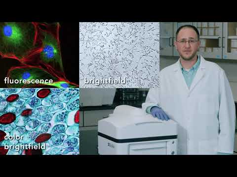 Agilent BioTek Lionheart FX and Lionheart LX Automated Microscopes – Experience a Better Perspective
