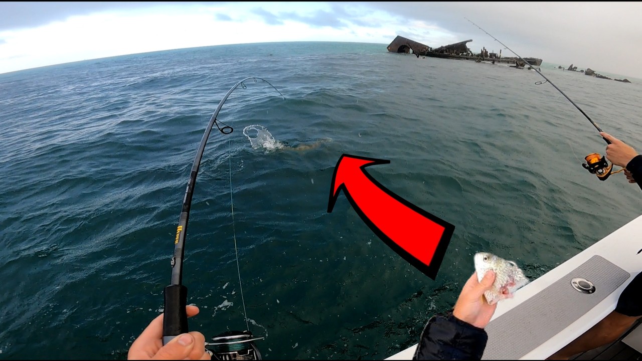 Did Not Expect to Catch This.... - YouTube