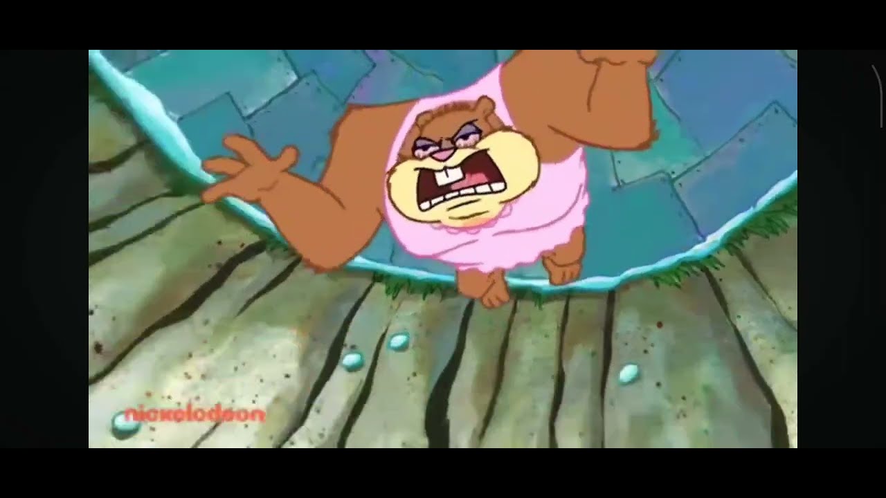 Mr snake, ms tarantula, Mr shark, and Mr piranha reaction hibernation sandy jumpscare 