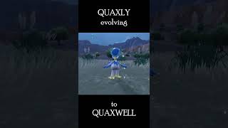 Famous Quaxly Evolution Net Worth