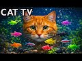 🔴 Cat TV Aquarium LIVE 🐱 Colorful Fish Tank for Cats to Watch 24/7 (4K)