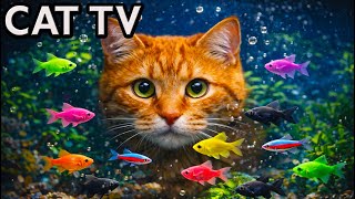 🔴 Cat TV Aquarium LIVE 🐱 Colorful Fish Tank for Cats to Watch 24/7 (4K)