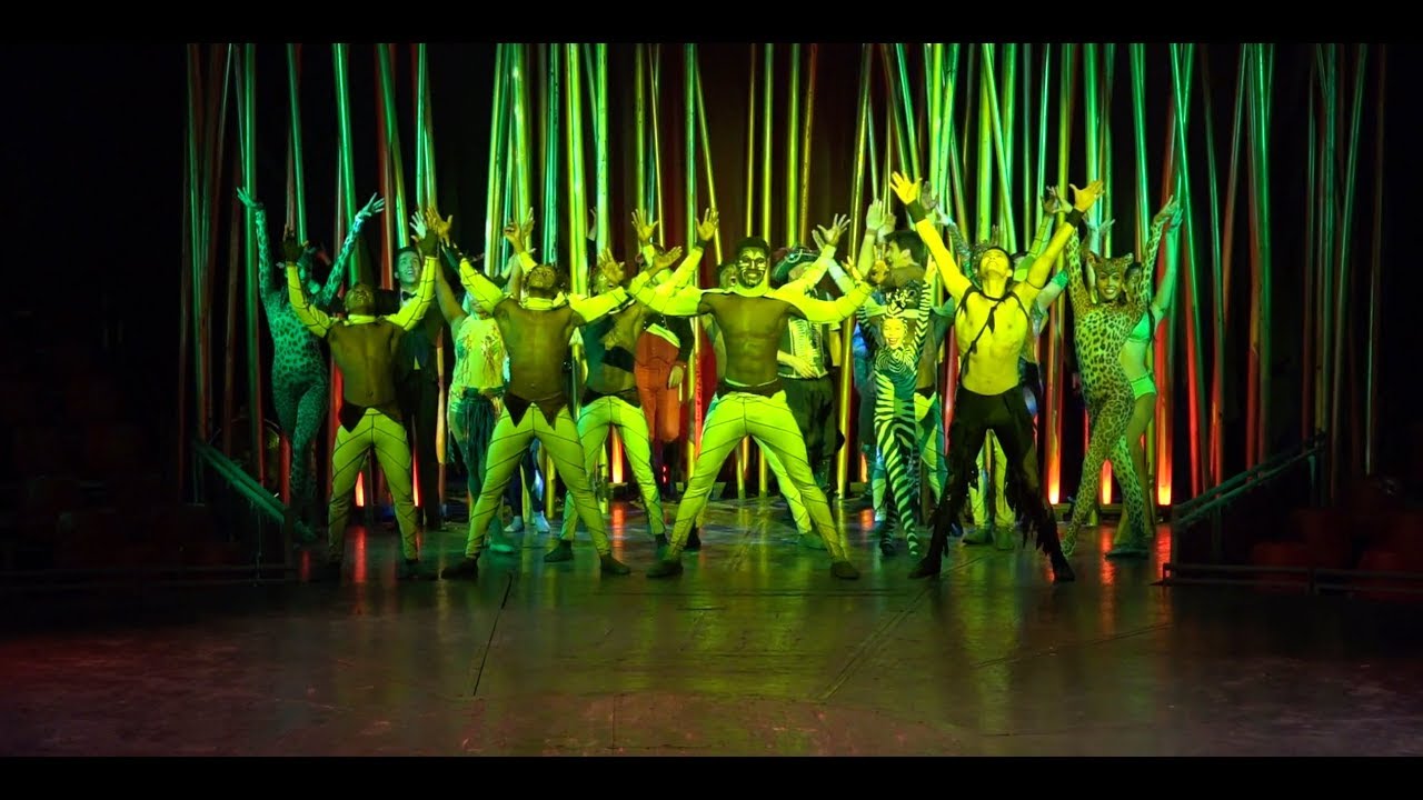 Obert 24h - 21/12/2017 - La vida a El Circo Italiano