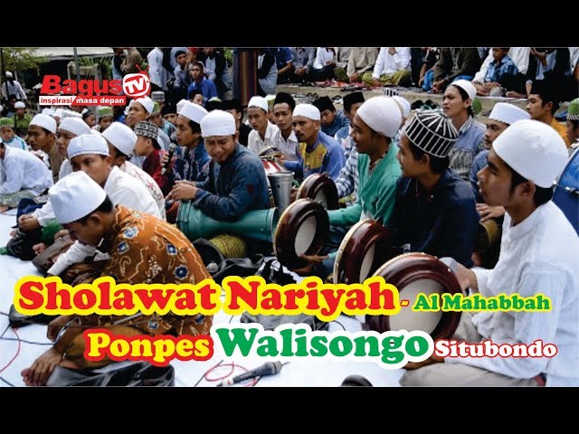 SHOLAWAT NARIYAH - AL MAHABBAH PONPES WALISONGO SITUBONDO class=