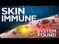 Your Skin Has Its Own Immune System — And It’s Smarter Than You Think