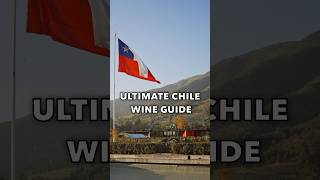 Chilean Wine Itinerary 🇨🇱 🍇🍷