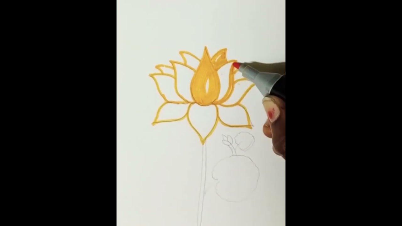 yellow 💛 Lotus simple flower drawing. Annaiabi drawing YouTube