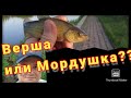 Рыбалка с мордушкой Нурсултан