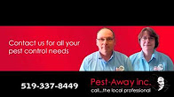 Pest Away - Local Business of the Month