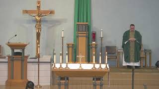 11th Sunday in Ordinary Time - June 13th 2026