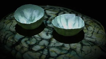 MIRROR BRAIN Melbourne