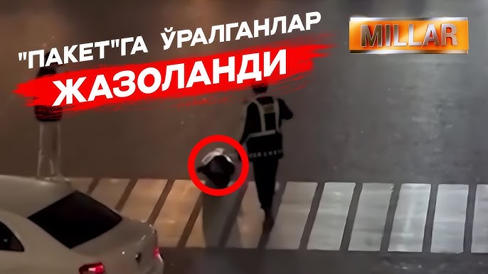 Mushukda 3 ta xoroz bilan porno tomosha qiling