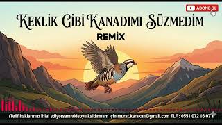 Keklik Gibi Kanadımı Süzmedim (REMİX)