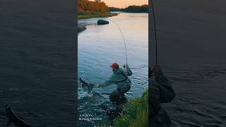 Супер река. Рыбалка на Кольском. Семга. #fishing #kolapeninsula #trout #рыбалка #salmon #кольский