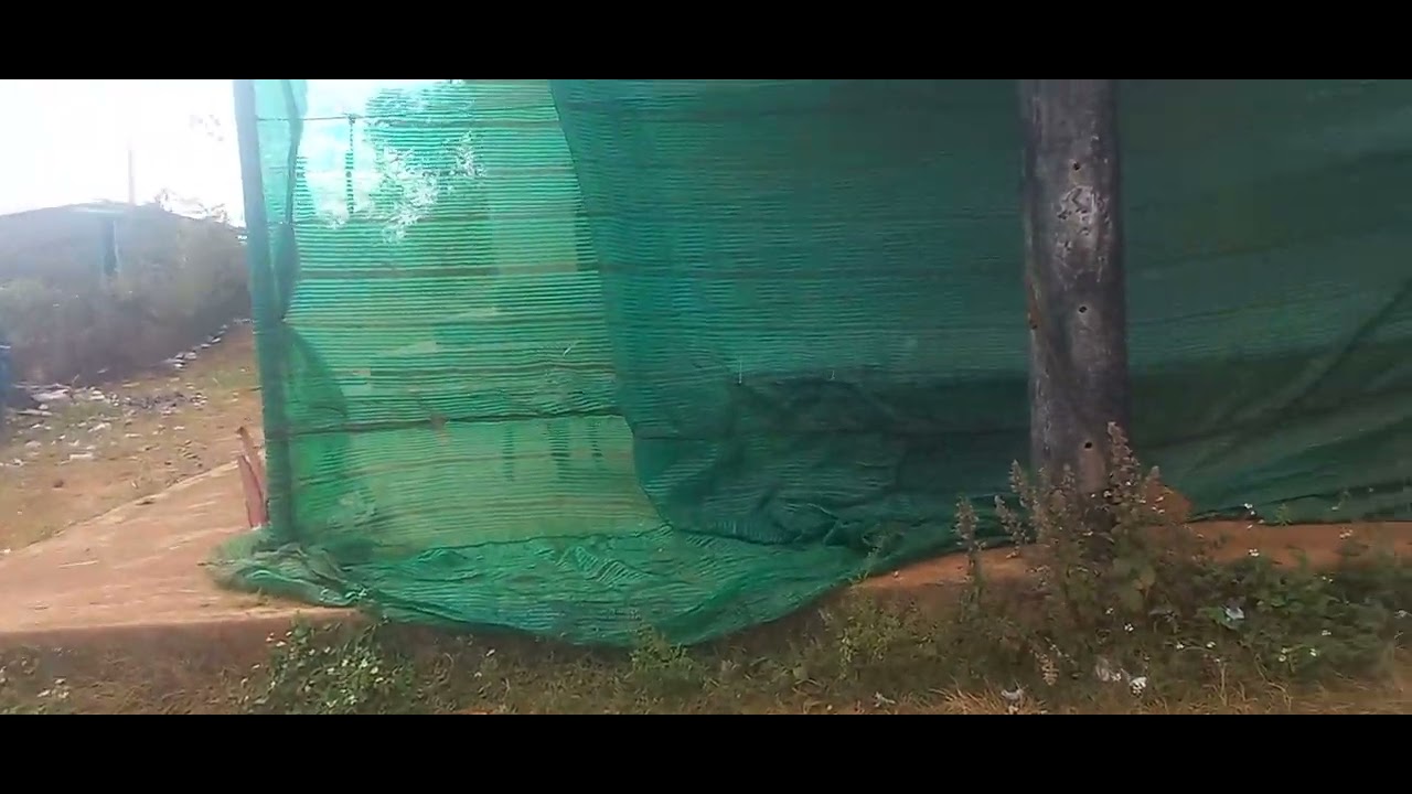 (32)lô góc 3 mặt tiền đường 15x50 300m thổ cư. KDC đông đúc giá bán 2,6 tỉ