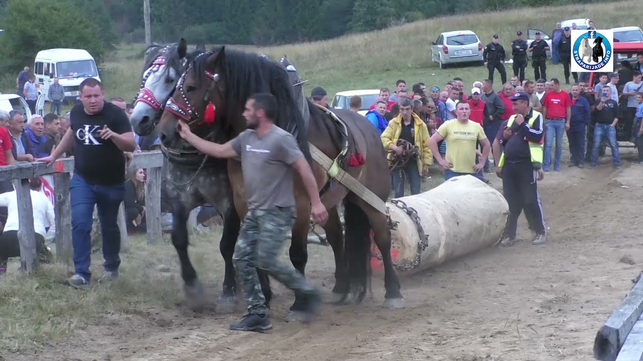 -Tarzan i Herkules šampioni Drinića u teškim parovima -