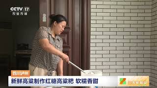 [三农长短说]四川泸州 新鲜高粱制作红糖高粱粑 软糯香甜|农业致富经 Agriculture And Farming