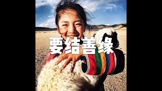 201608 要结善缘25466