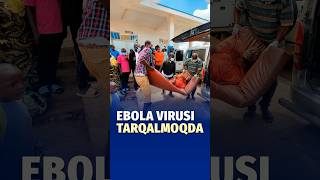 Kongo Demokratik Respublikasi va Ugandada Ebola kasalligi avj oldi